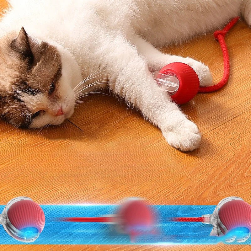 Wagsy Smart Interactive Cat & Dog Toy Ball