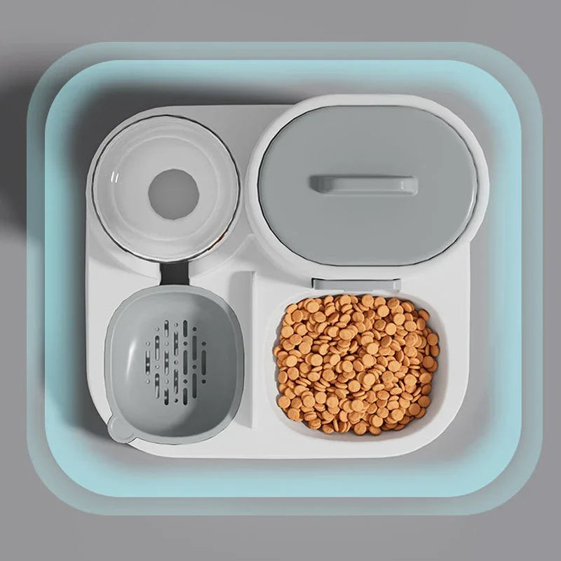 Wagsy 2-in-1 Pet Feeding & Water Bowl