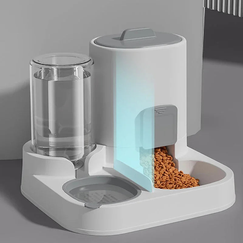 Wagsy 2-in-1 Pet Feeding & Water Bowl