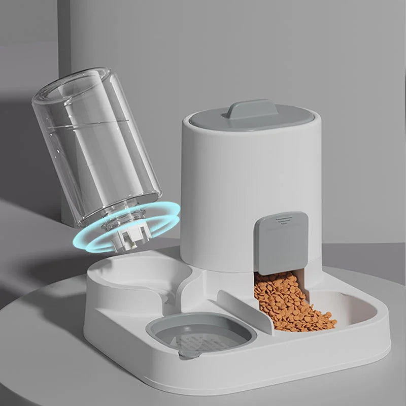 Wagsy 2-in-1 Pet Feeding & Water Bowl