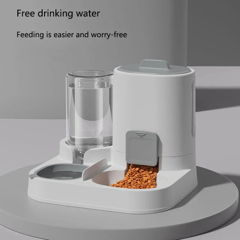 Wagsy 2-in-1 Pet Feeding & Water Bowl
