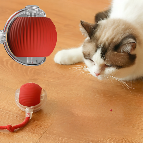 Wagsy Smart Interactive Cat & Dog Toy Ball